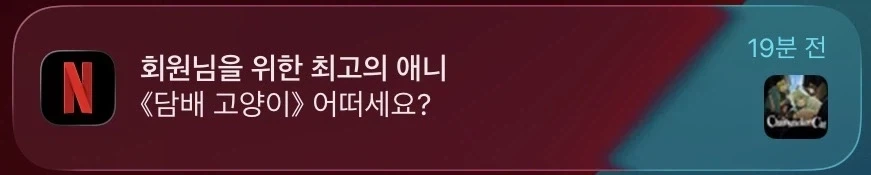나보고 보란말이냐 이런 애니를_1.webp