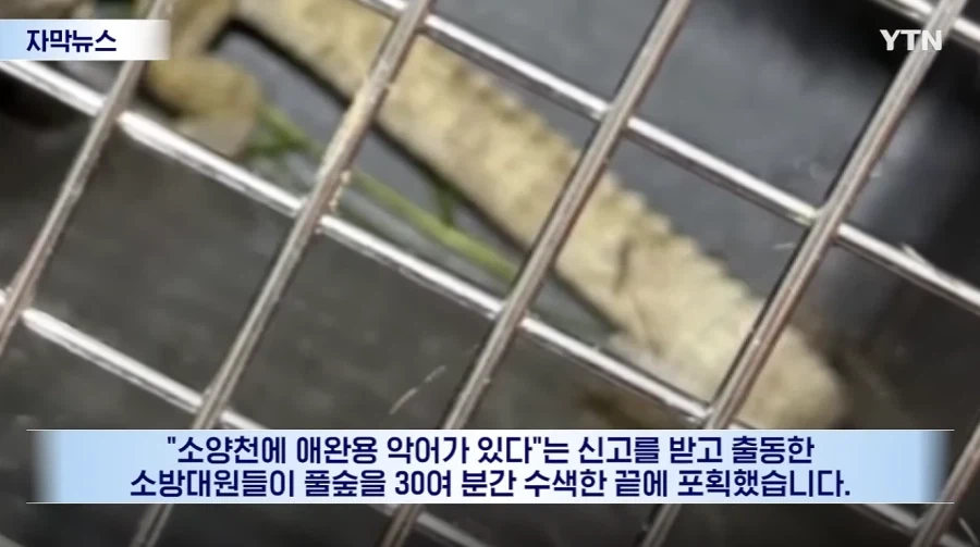 잃어버린 동물의 주인을 찾아 주려 했다가 그 주인을 경찰이 수배하게 된 사연_3.webp
