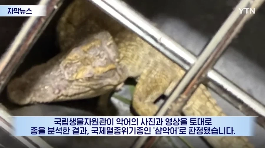 잃어버린 동물의 주인을 찾아 주려 했다가 그 주인을 경찰이 수배하게 된 사연_4.webp