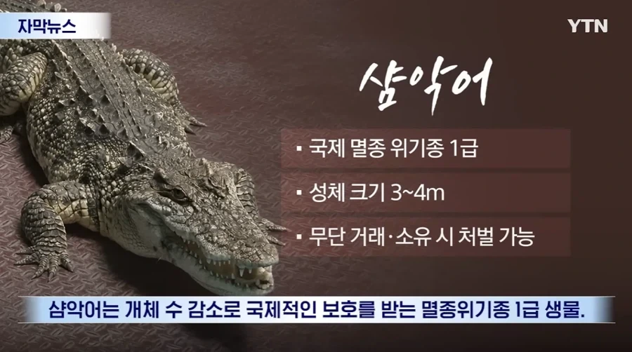 잃어버린 동물의 주인을 찾아 주려 했다가 그 주인을 경찰이 수배하게 된 사연_5.webp