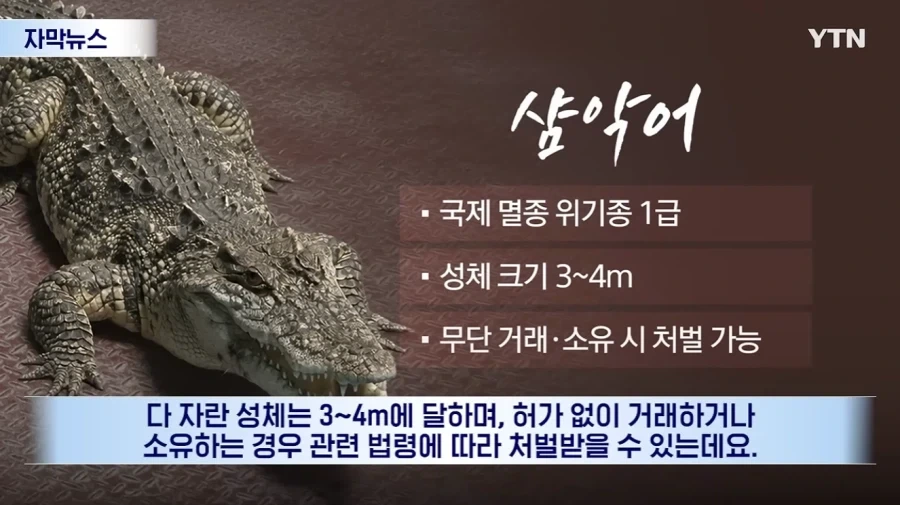 잃어버린 동물의 주인을 찾아 주려 했다가 그 주인을 경찰이 수배하게 된 사연_6.webp