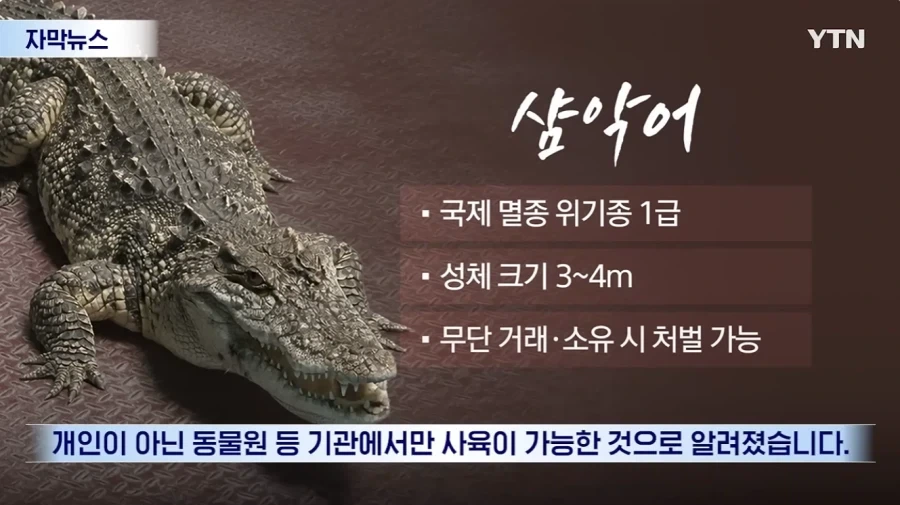 잃어버린 동물의 주인을 찾아 주려 했다가 그 주인을 경찰이 수배하게 된 사연_7.webp
