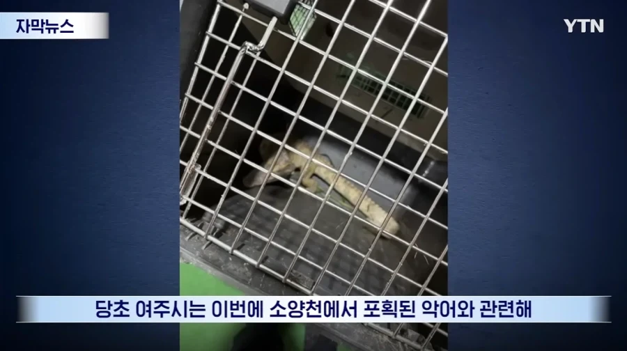 잃어버린 동물의 주인을 찾아 주려 했다가 그 주인을 경찰이 수배하게 된 사연_8.webp