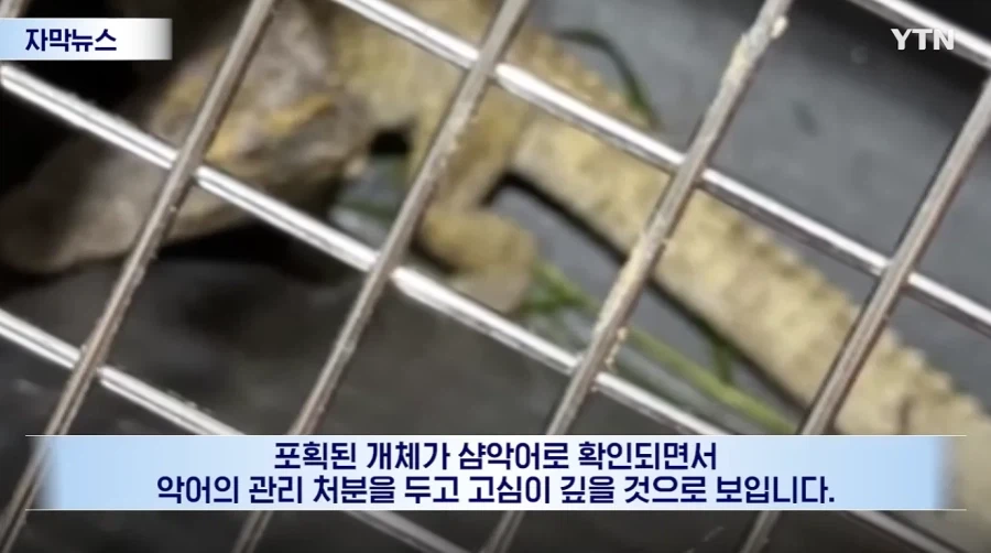 잃어버린 동물의 주인을 찾아 주려 했다가 그 주인을 경찰이 수배하게 된 사연_10.webp