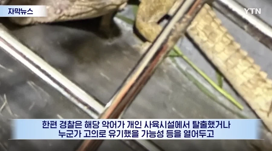잃어버린 동물의 주인을 찾아 주려 했다가 그 주인을 경찰이 수배하게 된 사연_11.webp