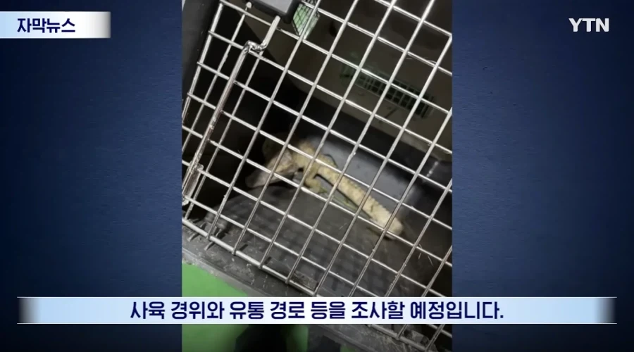 잃어버린 동물의 주인을 찾아 주려 했다가 그 주인을 경찰이 수배하게 된 사연_12.webp