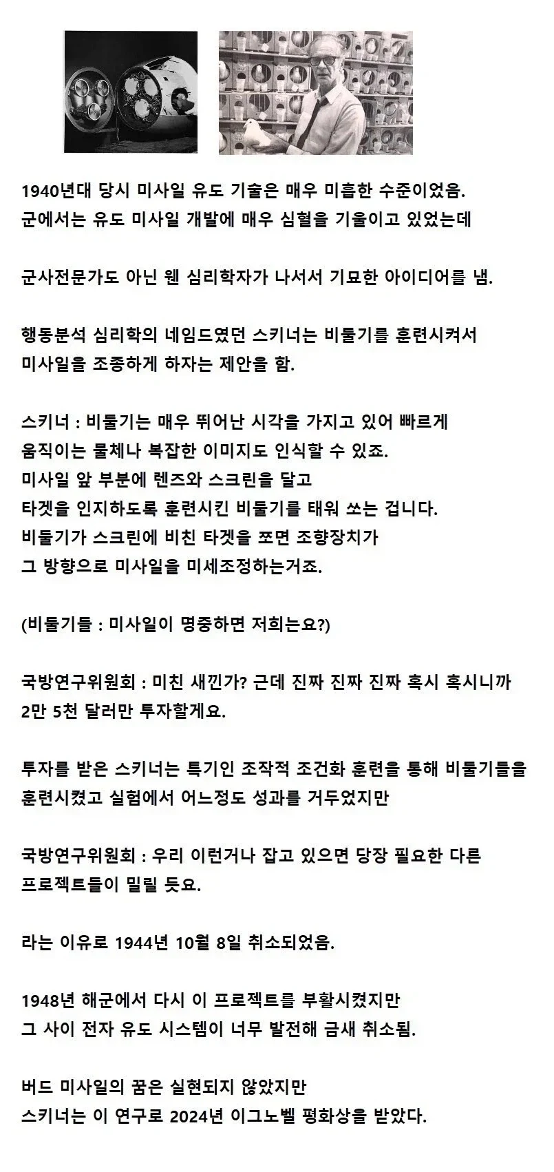 비둘기로 미사일을 만든 심리학자_1.webp