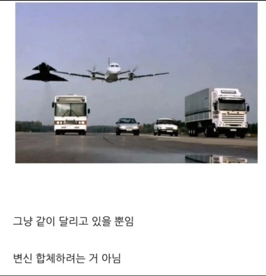 그냥 같이 달리고 있는 짤_1.webp