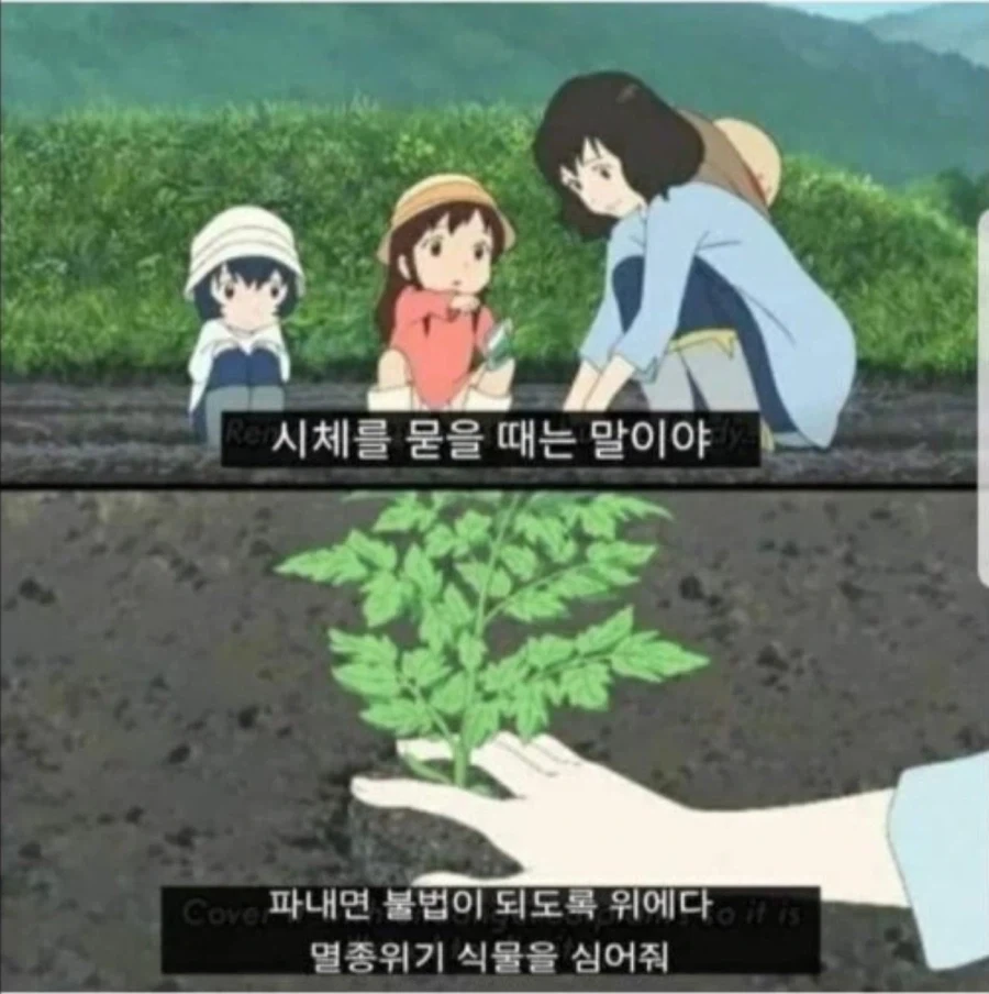 알아두면 도움되는 삶의 지식_1.webp