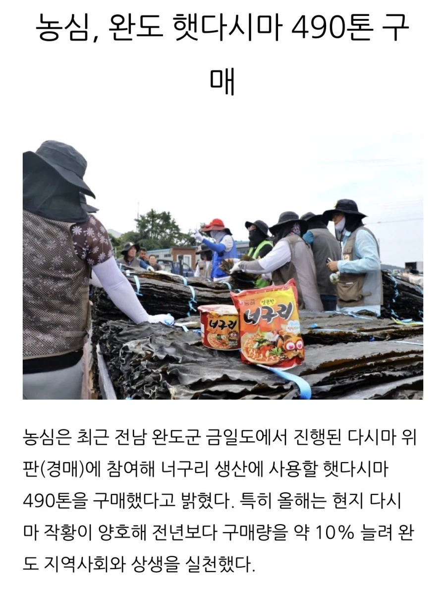 다시마계의 큰손.jpg_1.webp