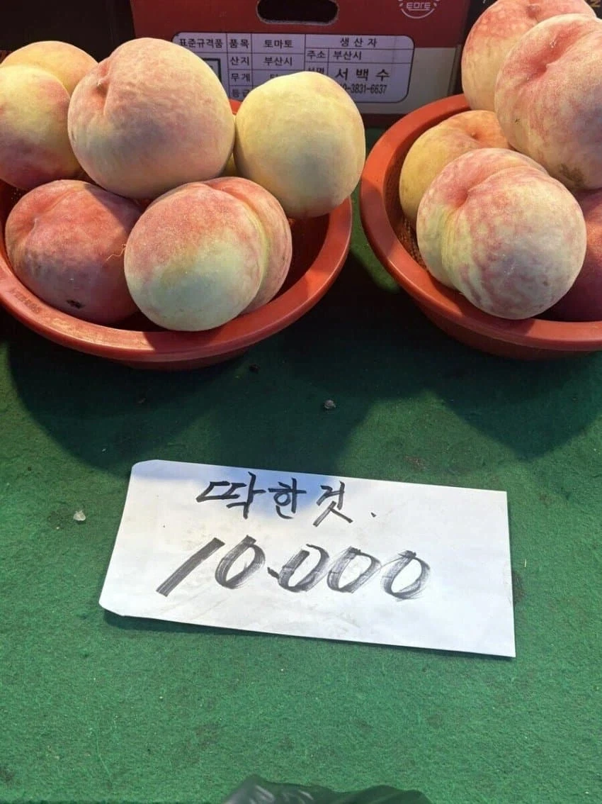 불쌍한 복숭아_1.webp