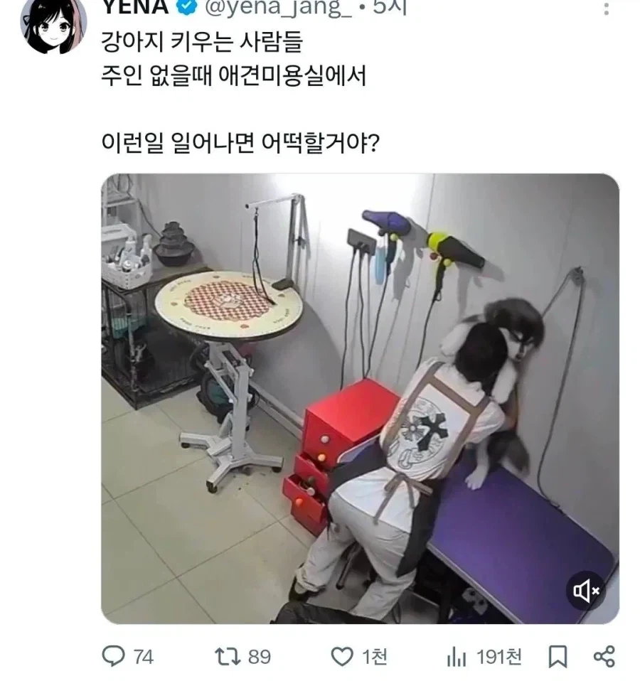 애견 미용실에서 벌어진 사건_1.webp