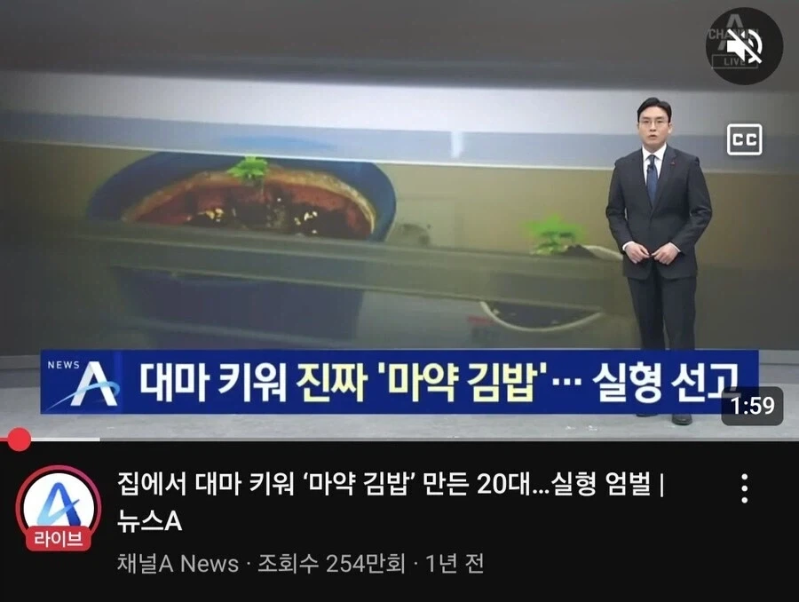 대마인이 좋아하는 한식_1.webp