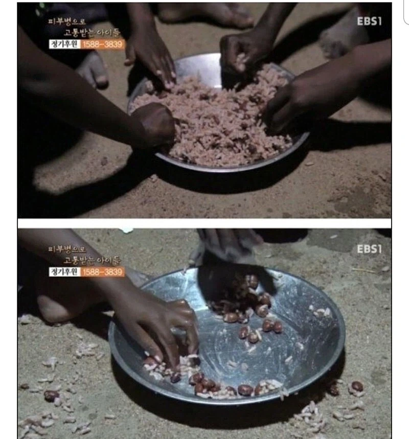 콩이 맛없다는 증거.jpg_1.webp