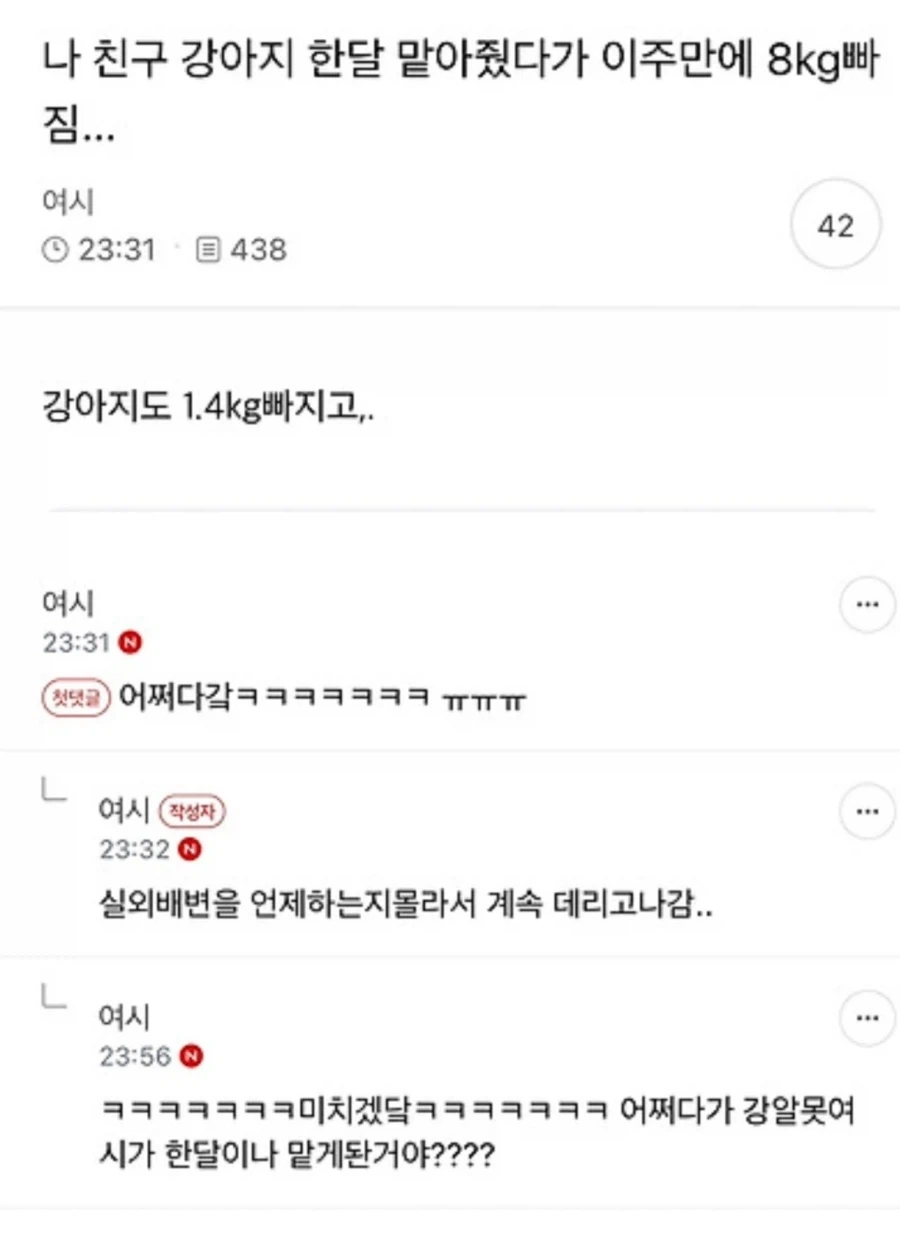 나 친구 강아지 한달 맡아줬다가 이주만에 8kg빠짐..._1.webp