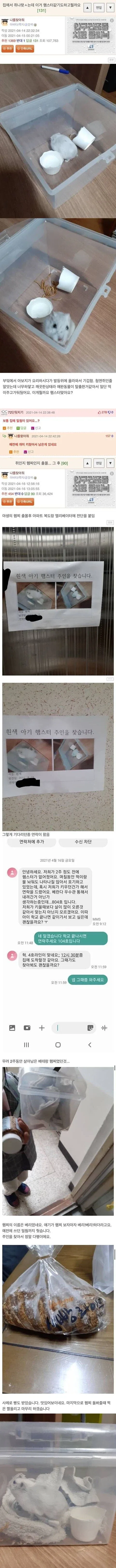 집에서 쥐가 나왔는데 햄서터 같아_1.webp