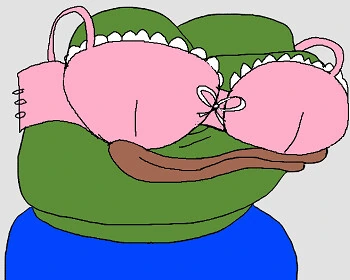 일본에서 잘팔린다는 코박죽 쿠션_2.png