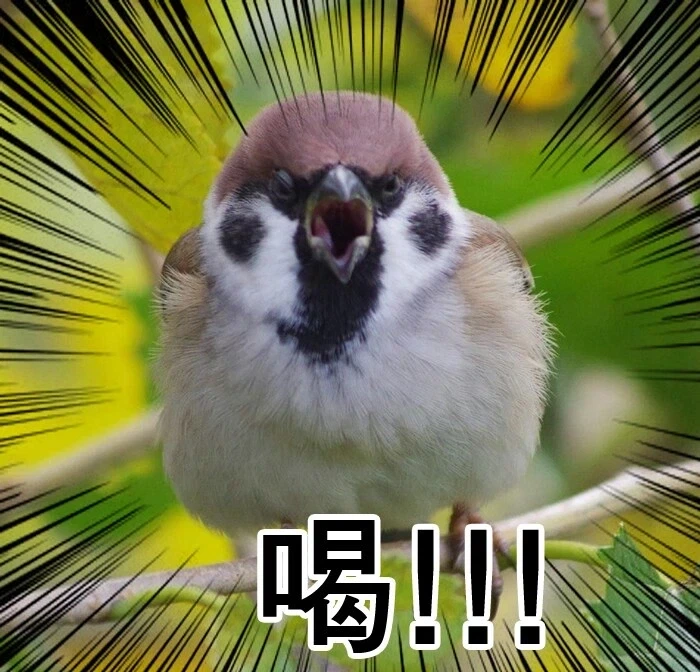 MCU)가오갤 멤버들 나올때마다 재밌는거_1.webp