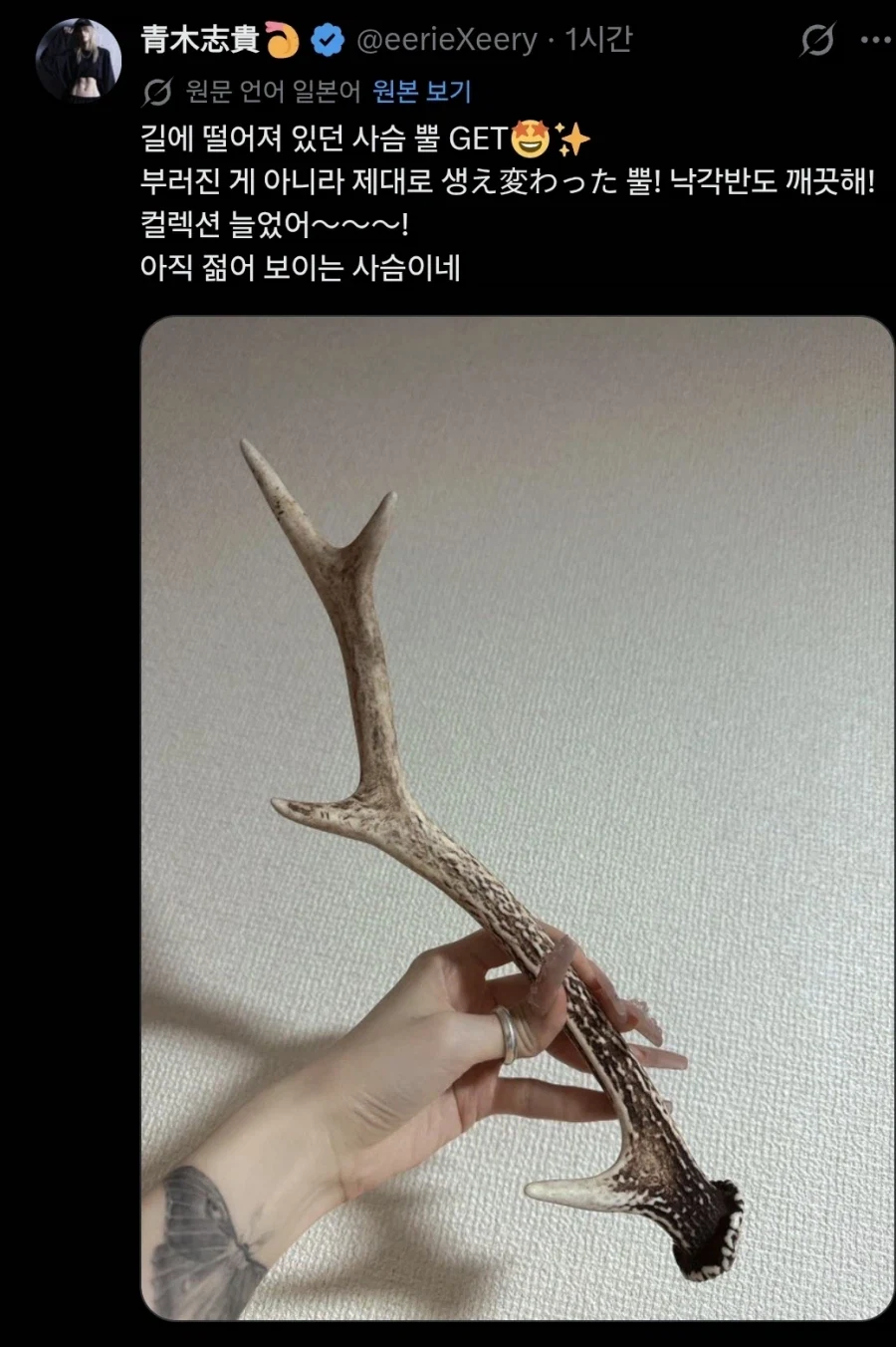 길 걷다가 개쩌는 걸 주웠다는 일본 성우._1.webp