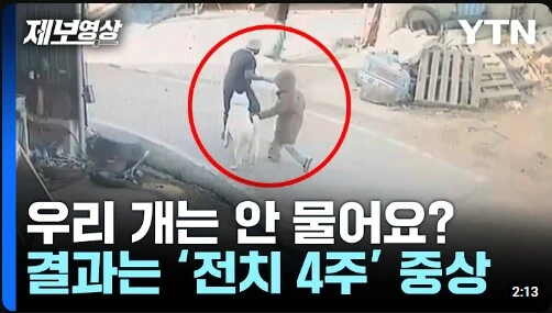 개 키우는 사람들이 반드시 알아야만 하는것_1.png
