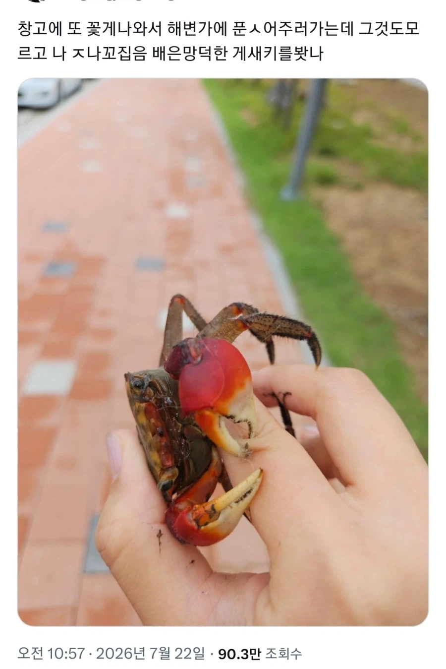 배은망덕한 게새끼_1.webp