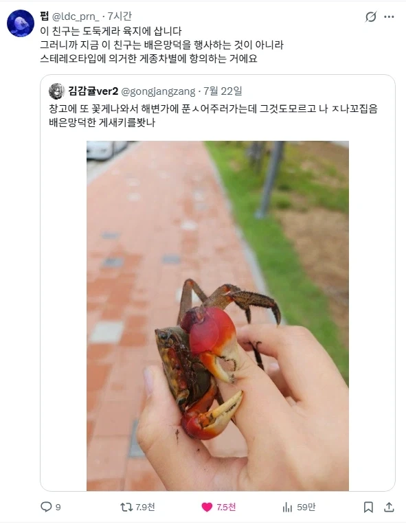구해줬더니 이게 배은망덕한게 꼬집음_1.webp