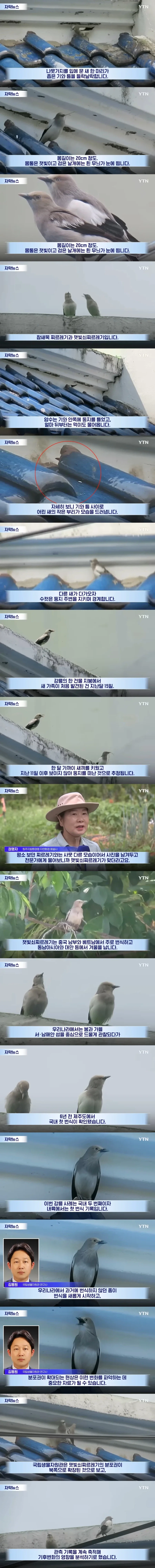 평범한 새인 줄 알았는데...국내 첫 기록이었다_1.webp