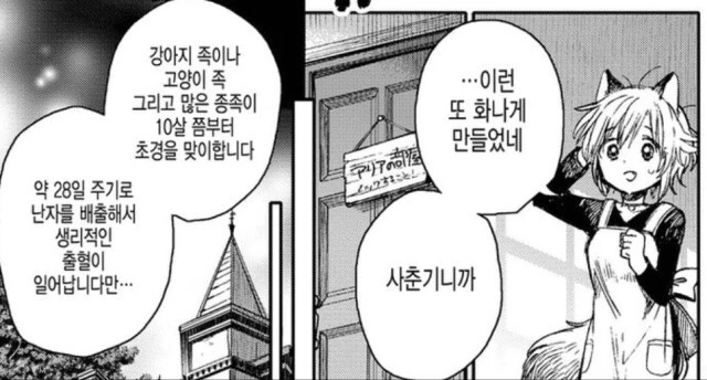 manga_1679382_003.webp