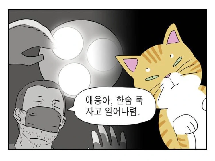 manga_911810_003.webp