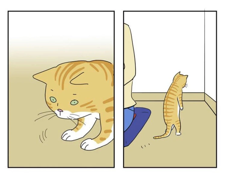 manga_911810_005.webp