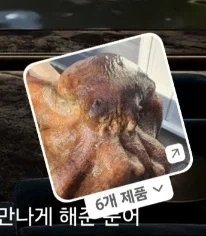 수족관 문어로 만든 감동적인 영화_3.webp
