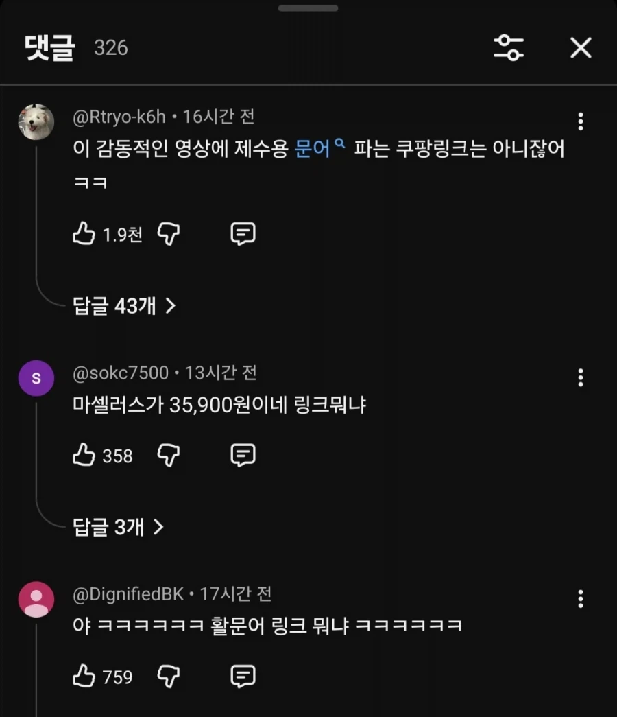 수족관 문어로 만든 감동적인 영화_4.webp