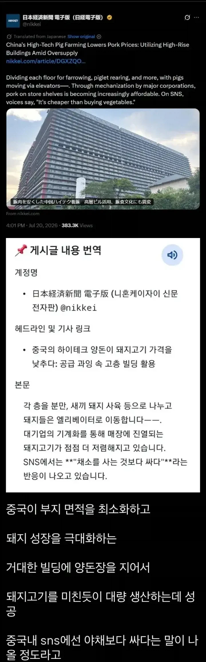 중국 돼지 공장_1.webp