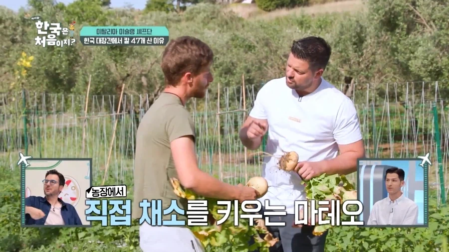 유튜브) 외국인 남성3인조 국내 칼보고 씨익