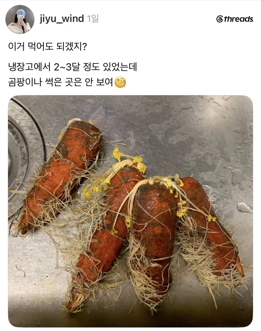 냉장고에서 숙성된 당근.jpg_1.webp