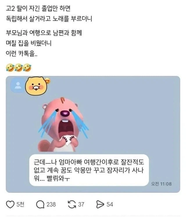 엄마 아빠가 여행 가자 고2딸의 반응_1.webp