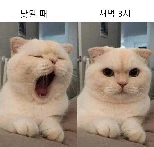 맨날 피곤하다는 사람들 특징_1.webp