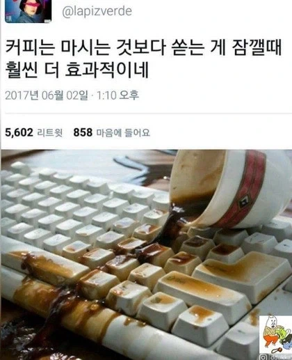 졸음방지 커피 3대장_1.webp