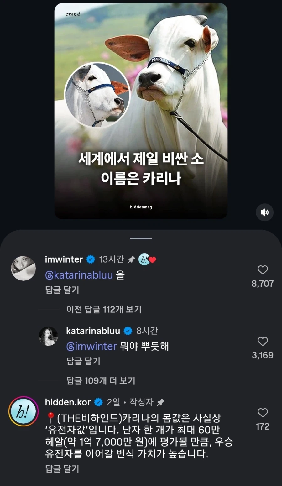 세계에서 제일 비싼 소 이름은 카리나_1.webp