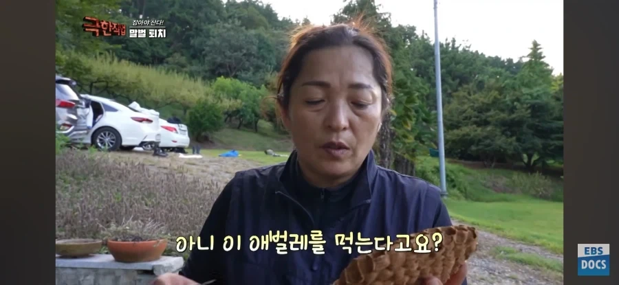 천장을 뜯어보니 말벌집 등장_7.webp