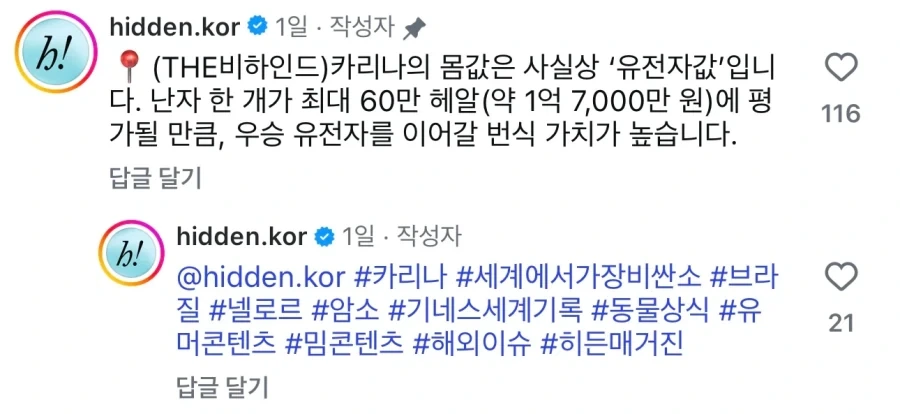 세계에서 가장 비싼 암소는 카리나_3.webp