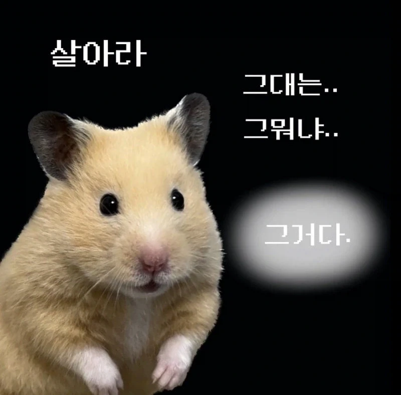 게임이 20년 되면 발생하는 사태.jpg_4.webp