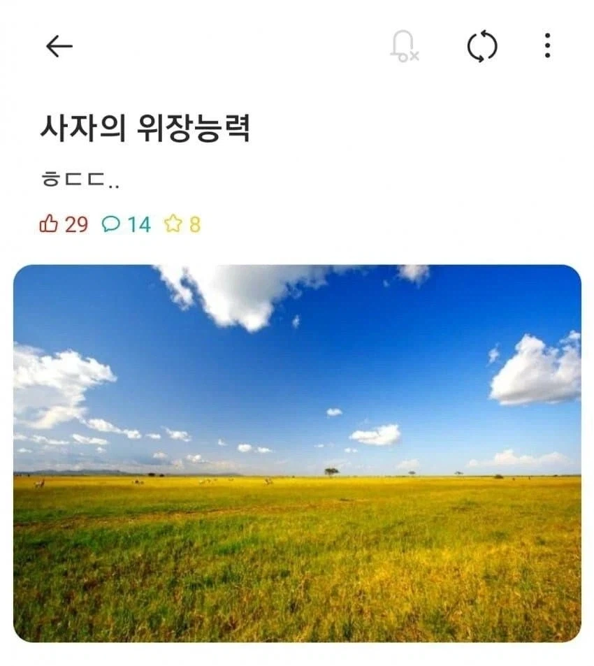 미쳐버린 사자의 위장능력_1.webp