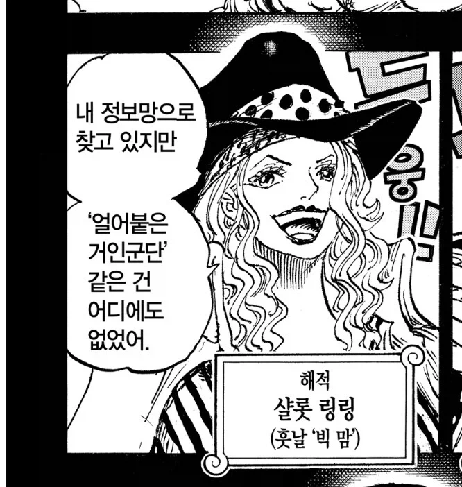 원피스 빅맘이 록스해적단의 나미 포지션이라 평가받는 이유_1.webp