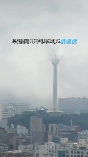 부산인데 구조대 언제오냐? 한달넘게 고립된거같은데_1.webp