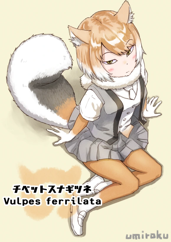 __tibetan_sand_fox_kemono_friends_drawn_by_umiroku__818c25fff48cbbbce3bec4478a2d5378.png
