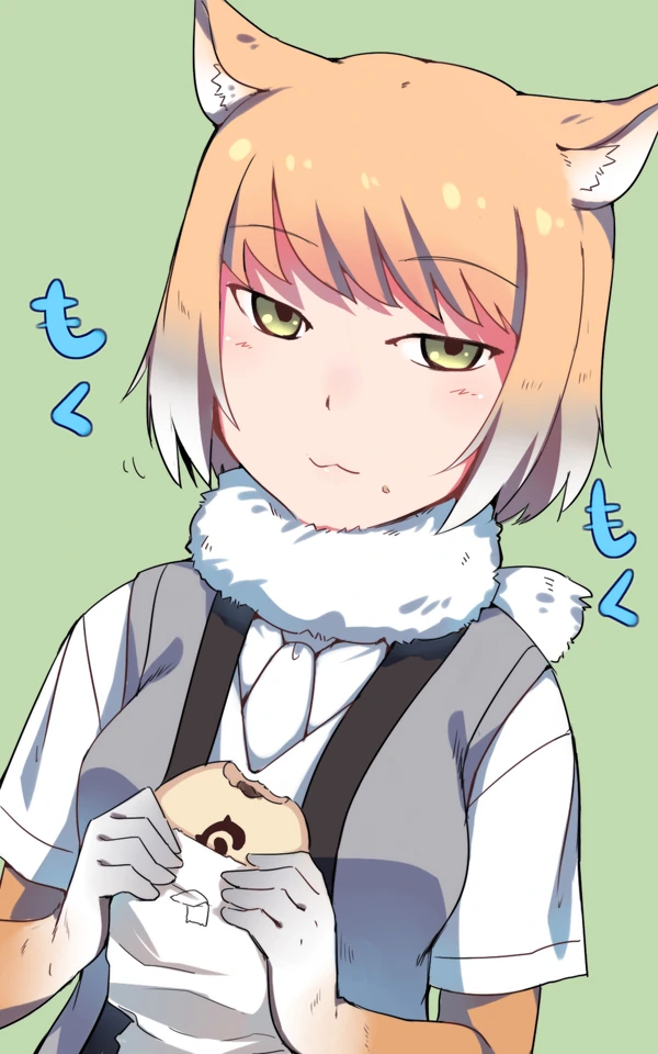 __tibetan_sand_fox_kemono_friends_drawn_by_em__4113b9710268f6a7a3ebd9965ea06e06.jpg