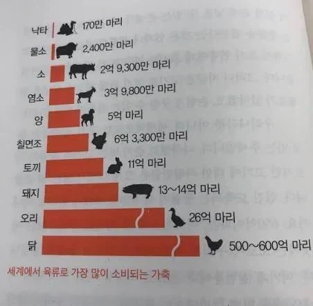 세계적으로는 메이저지만 한국에서는 드문 고기.JPG_1.webp