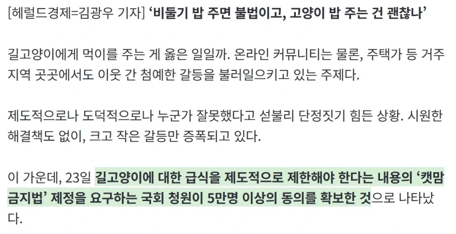 “고양이 밥 주면 ‘벌금 100만원’” 캣맘 금지법, 정식 논의된다_3.webp
