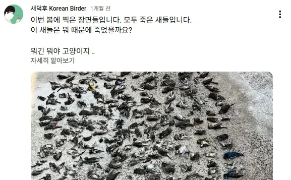 “고양이 밥 주면 ‘벌금 100만원’” 캣맘 금지법, 정식 논의된다_5.webp